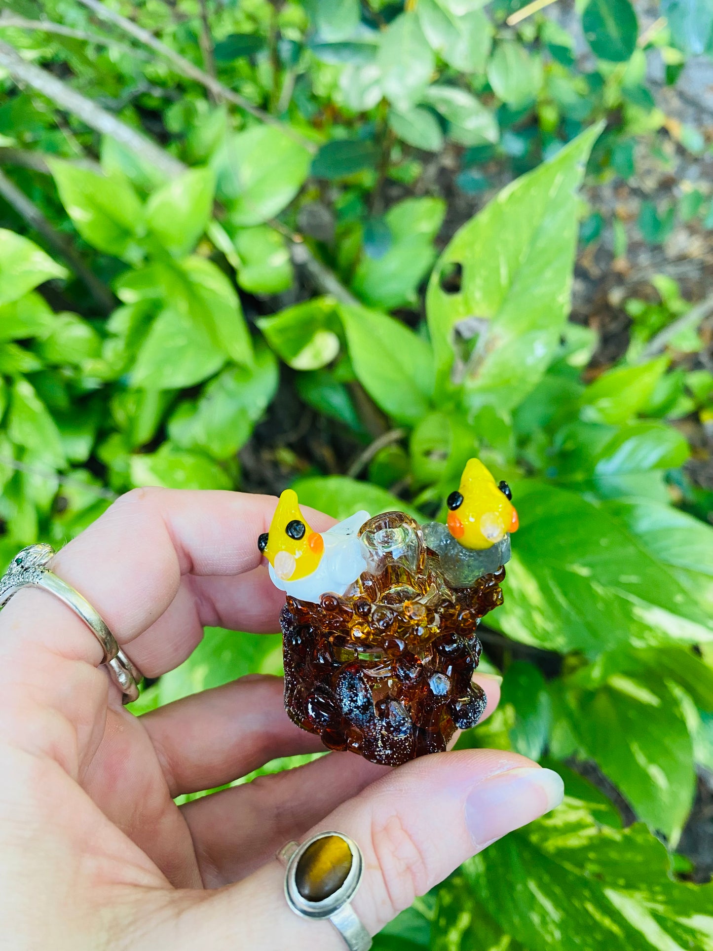 Cockatiel pair bubble cap with matching nest stand