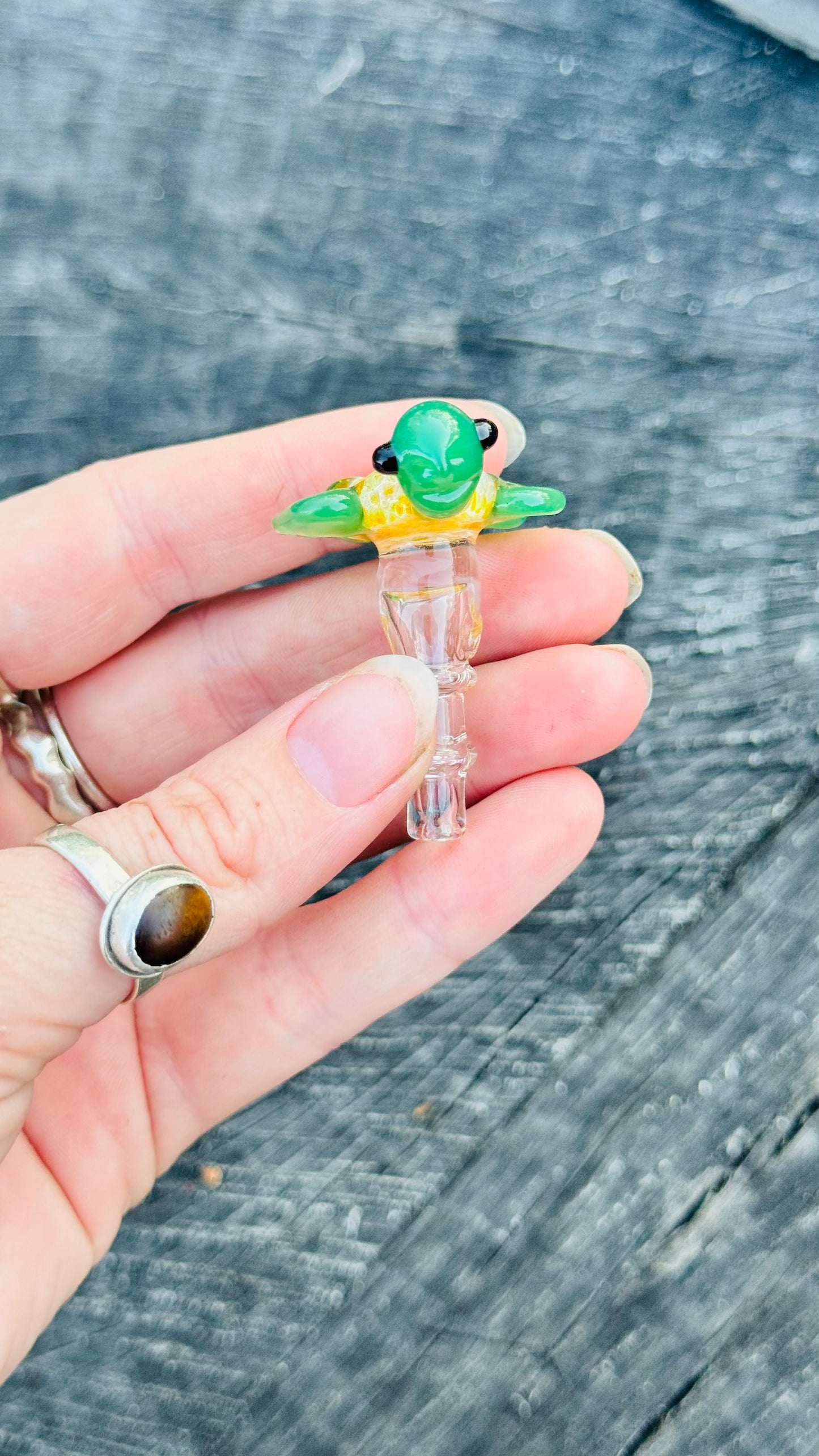 Turtle joystick