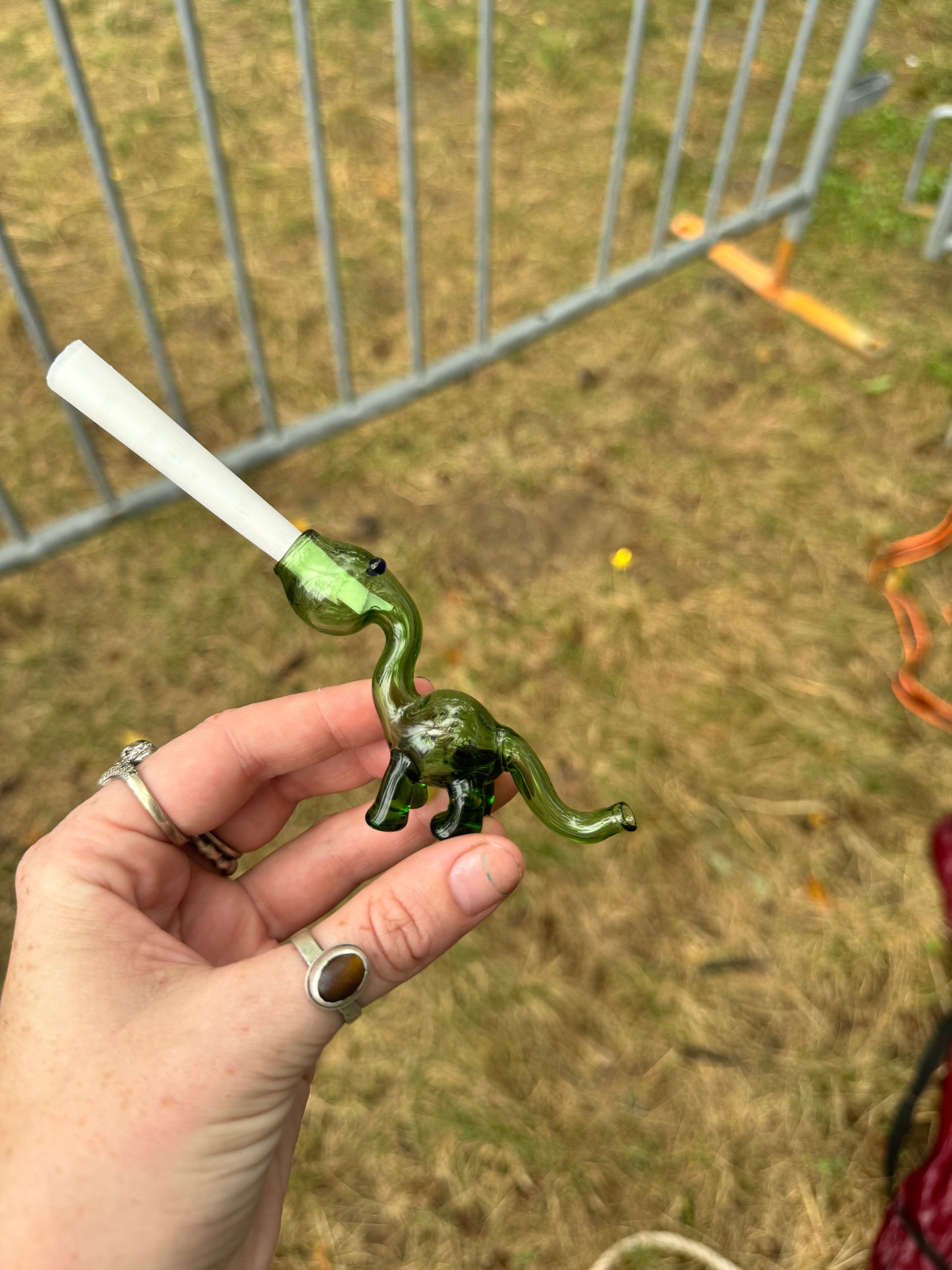 Dinosaur glass filter/ finger saver