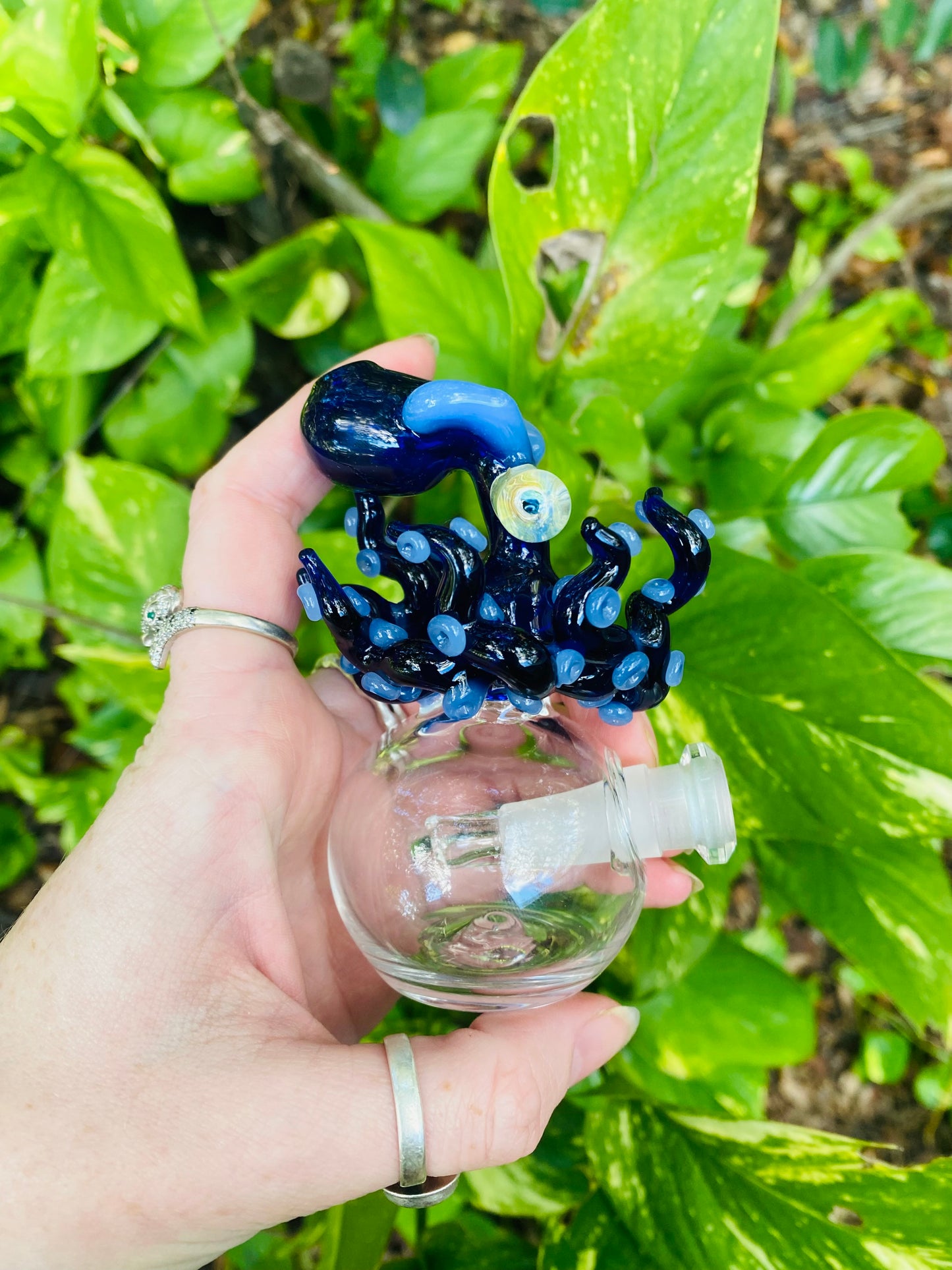 Octopus water “vase”