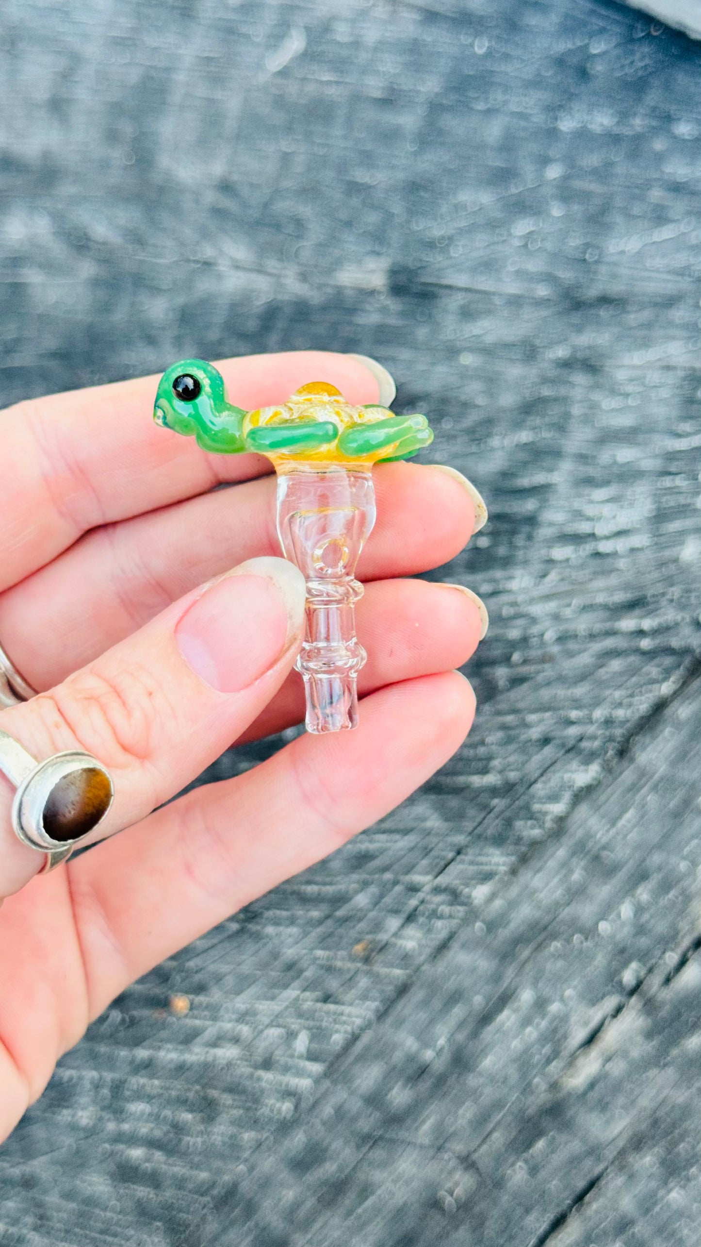 Turtle joystick