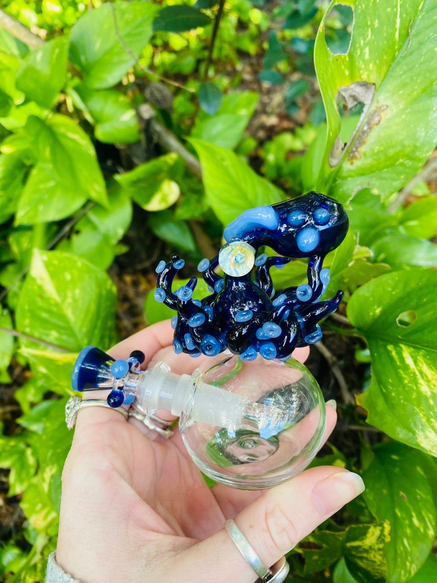 Octopus water “vase”