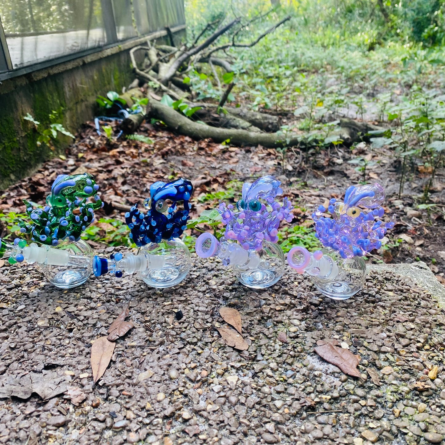 Octopus water “vase”