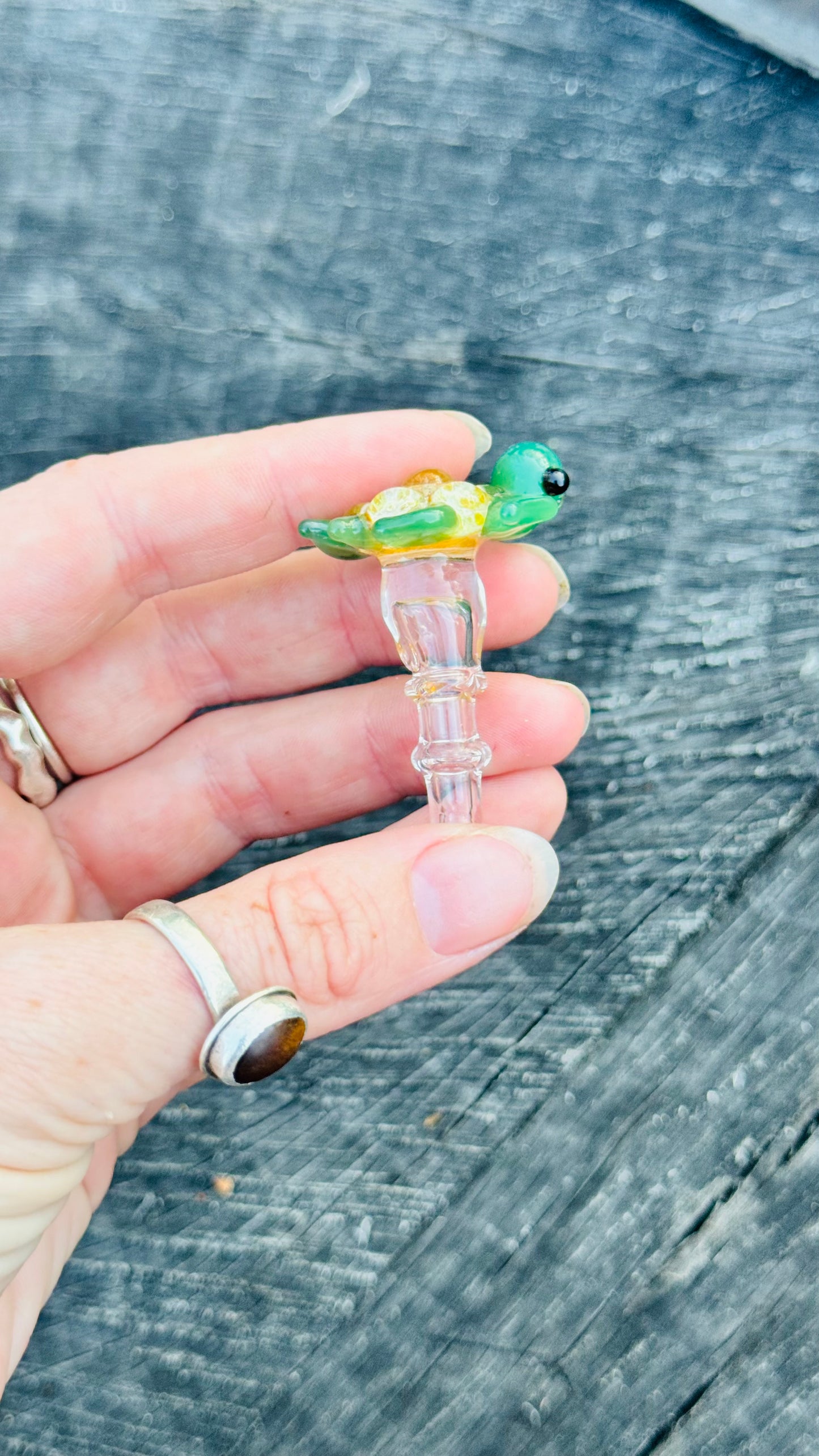 Turtle joystick