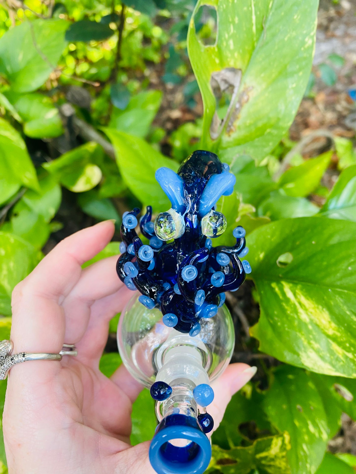Octopus water “vase”