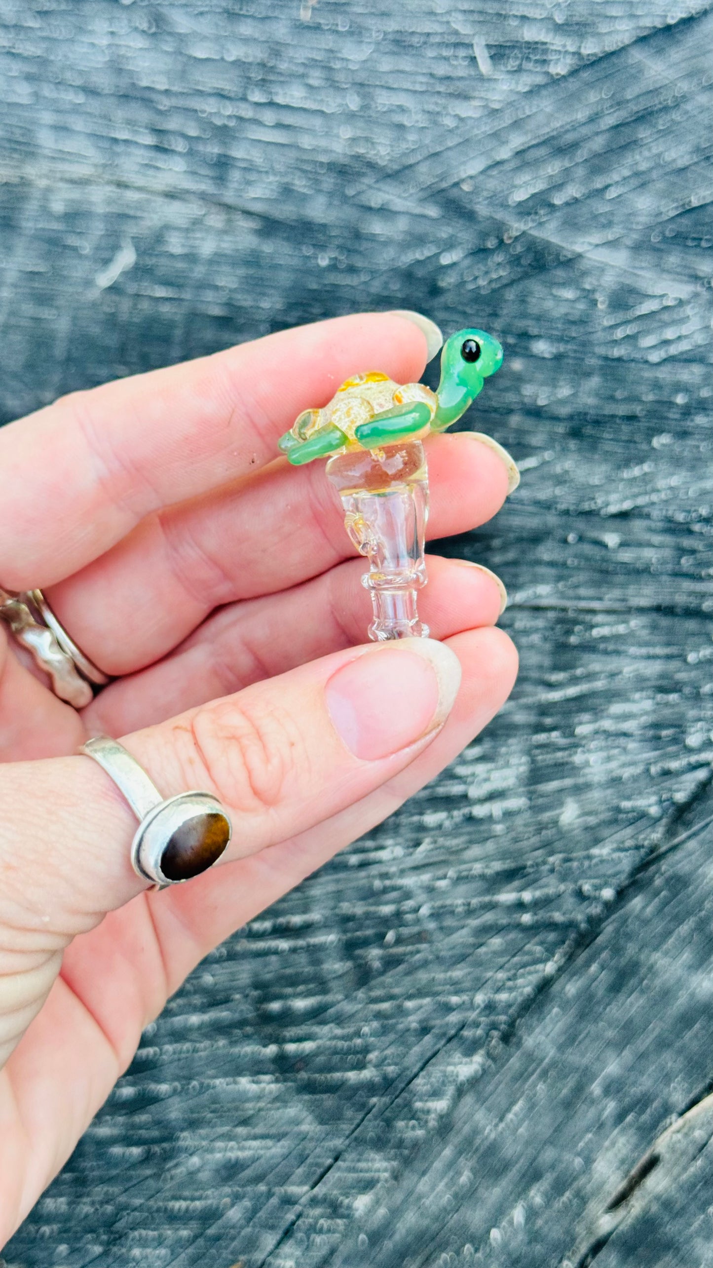 Turtle joystick