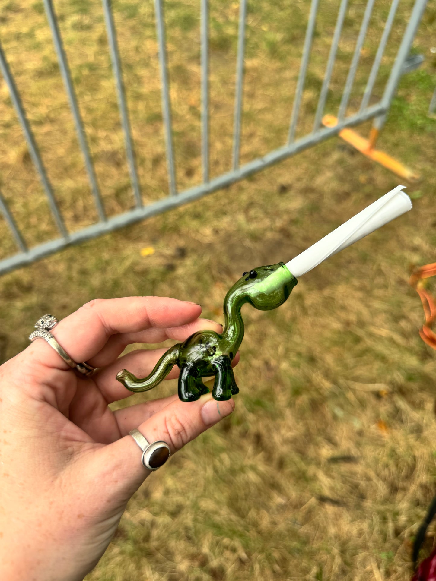 Dinosaur glass filter/ finger saver