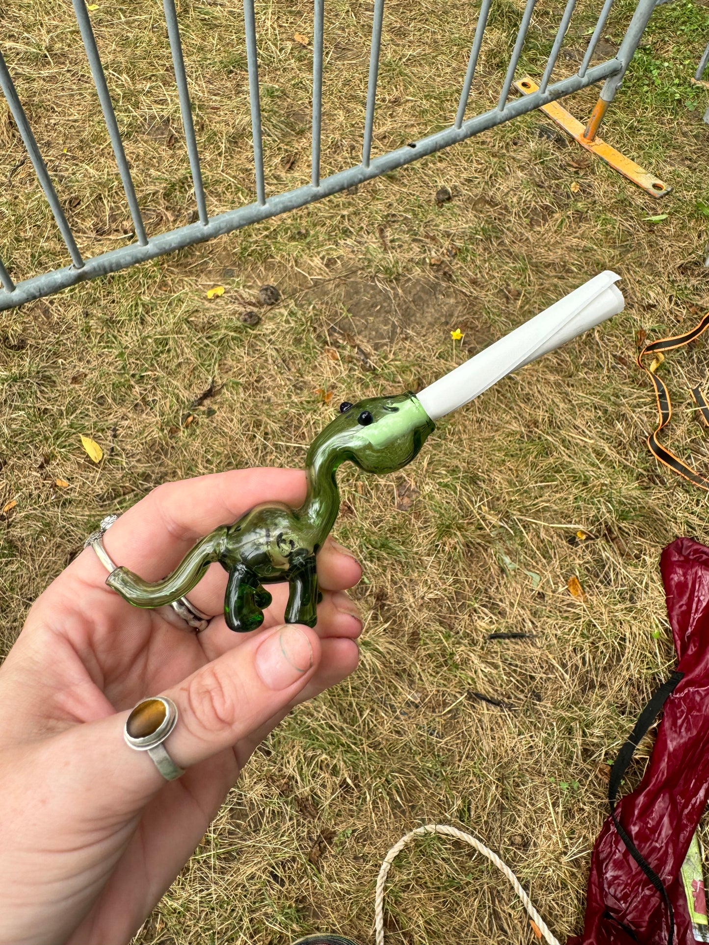 Dinosaur glass filter/ finger saver