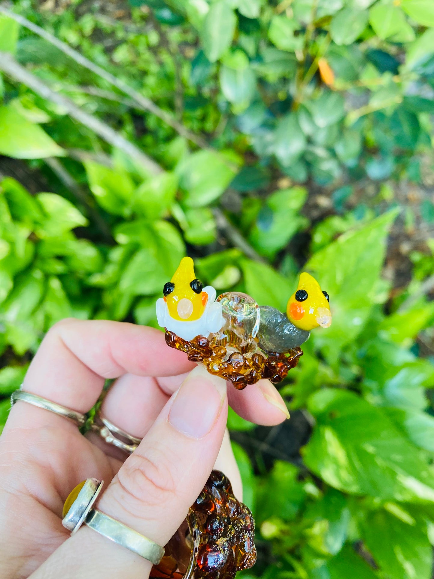 Cockatiel pair bubble cap with matching nest stand