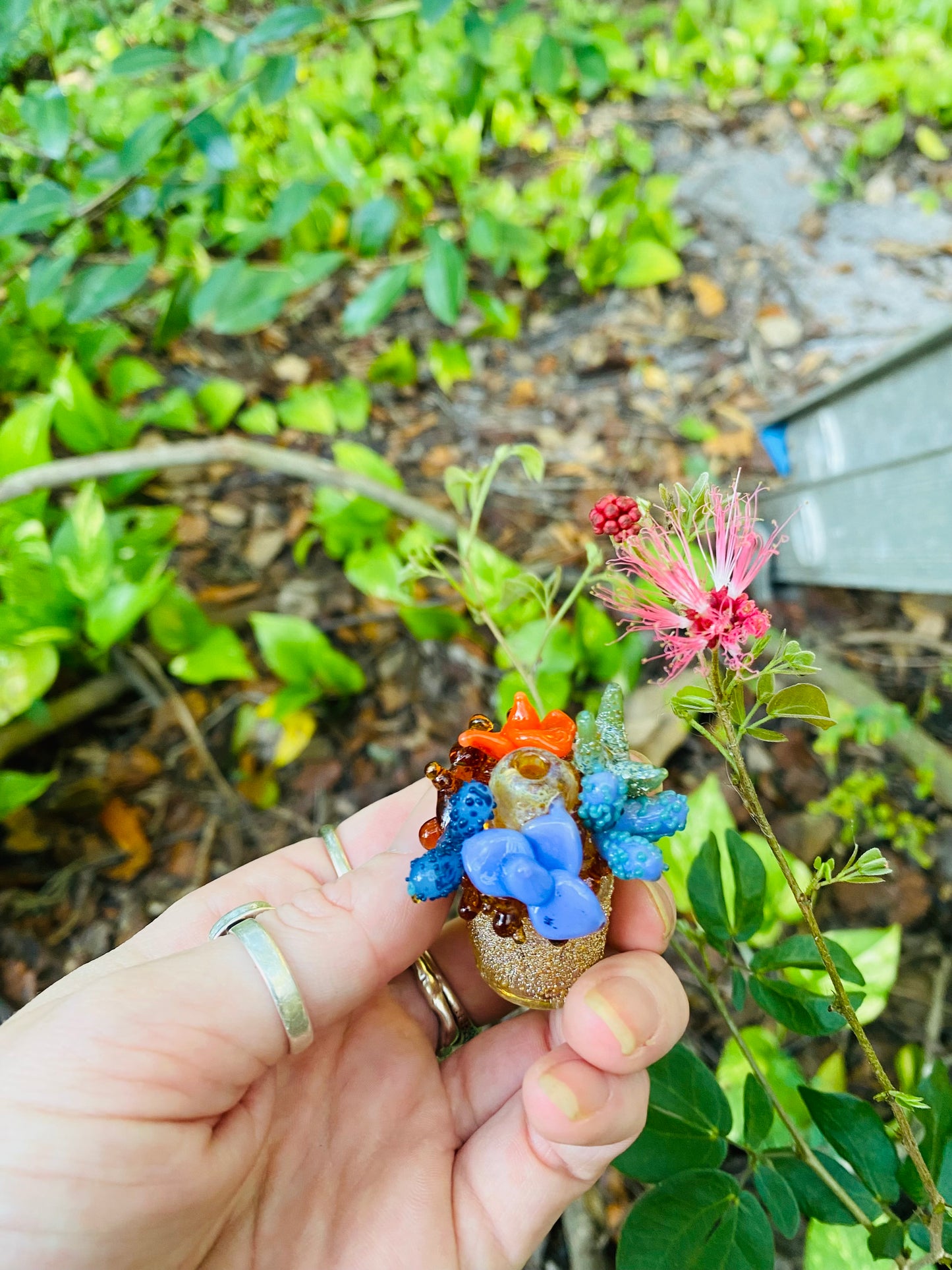 Succulent bubble cap